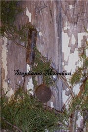 Black Walnut and Candle Ornament-