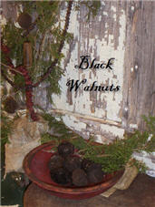 Black Walnuts-
