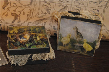 Nest and Chick Boxes-