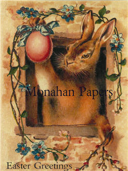 Bunny In The Window-