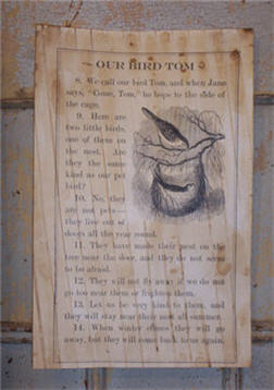 We Call Our Bird Tom Paper Sheet-