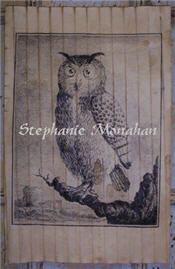 Hoot The Owl Paper Sheet-