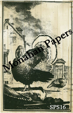 The Turkey Paper Sheet-paper, aged, sheet, turkey