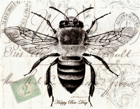 Happy Bee-Day - BD17