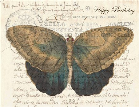 Happy Birthday Butterfly - BD20