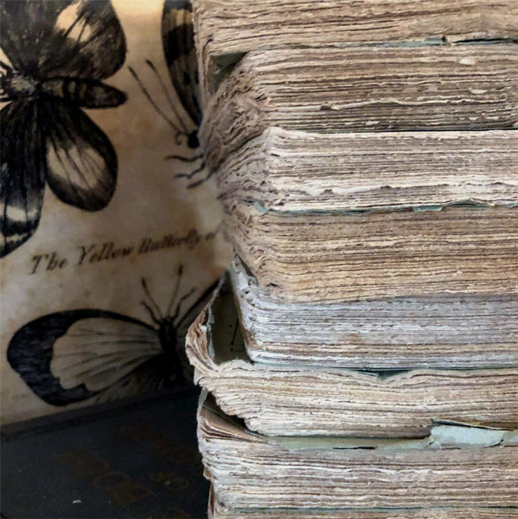 Blue Green Deckled Edge Books