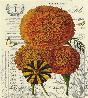 Botanical 105 - BOT105