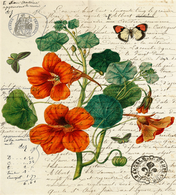 Botanical 109 - BOT109