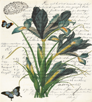 Botanical 110 - BOT110