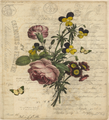 Botanical 112 - BOT112