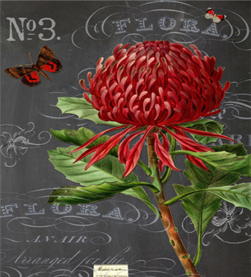 Botanical 208 - BOT208