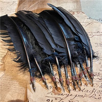 Long Black Turkey Tail Quill With Antique Nib