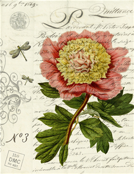 Botanical 95 - BOT95