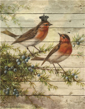Christmas Red Belly Birds - C289