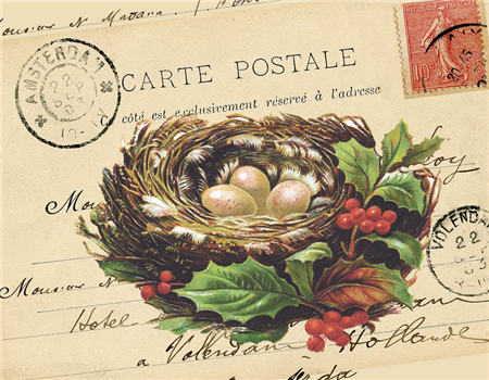 Christmas Nest - C76