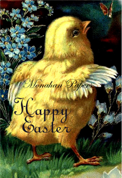 Happy Easter Chick