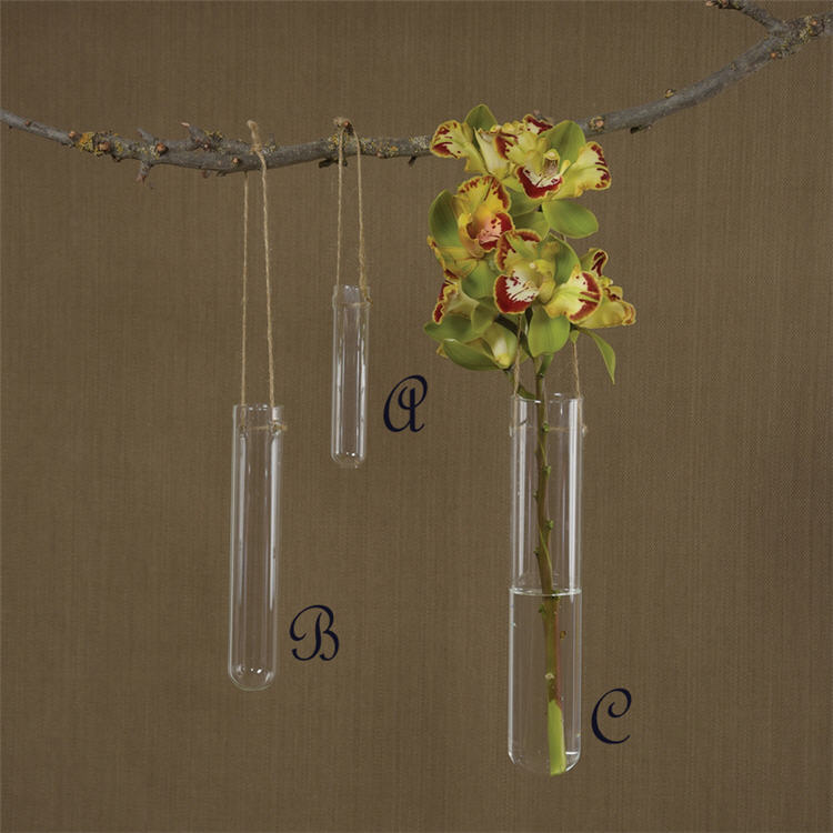 Hanging Glass Tube Vase