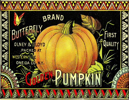 Golden Pumpkin - H37