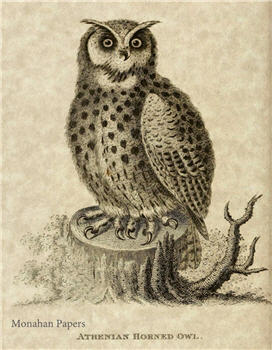 Athenian Horned Owl - H9