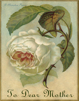 To Dear Mother - MD11