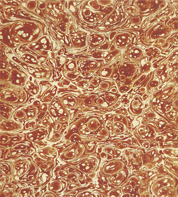 Marbled Papers 54 - MP54