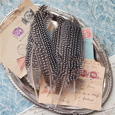 New Guinea Feathers Set/6