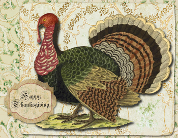 Happy Thanksgiving Green Wallpaper Turkey