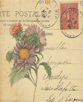 China Aster Floral - X199