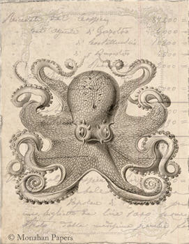 Horned Octopus - X254