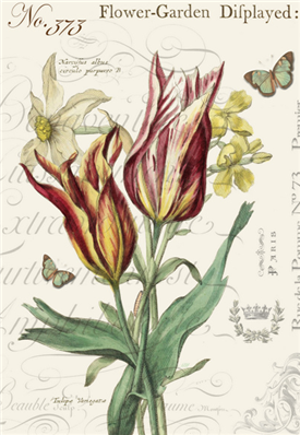 Tulips & Moths - X268