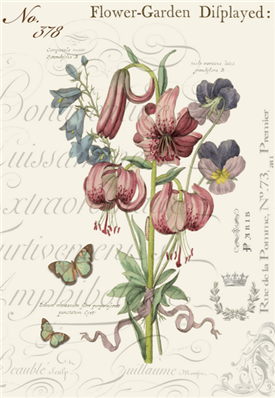 Martagon Lily's - X269