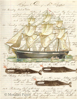 New Bedford Whalers  X288