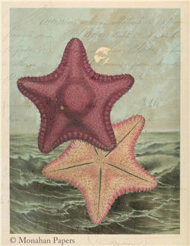 Double Red Starfish - X290