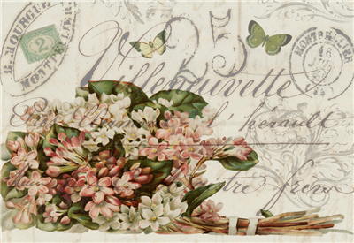 Bundle of Florals - X521