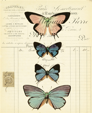 Assorted Butterflies 1 -X566