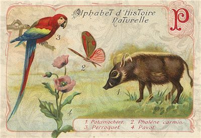 Alphabet d' Histoire - X908