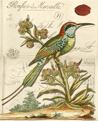 Woodland Perch - X927