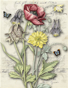 Farmhouse Botanical X565-11 x 17 Artist Print Scrapbooking French Decoupage Original Monahan Papers Floral Print Floral