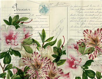Botanical 93 - BOT93
