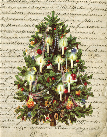 Oh Christmas Tree - C81