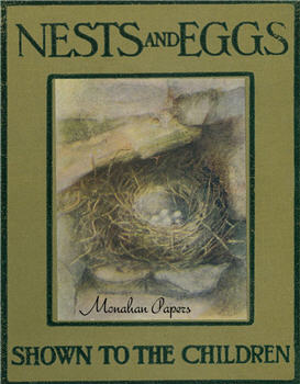 Nest and Eggs - E17
