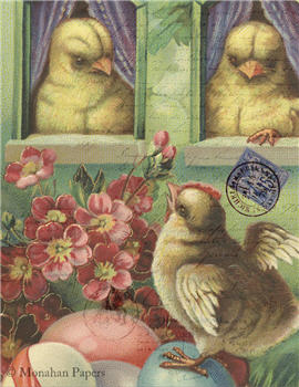 Window Chicks - E87