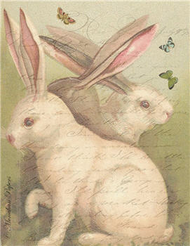 Twin Hares - E88