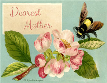 Dearest Mother - MD26