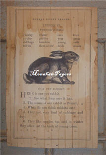 Our Pet Rabbit Paper Sheet