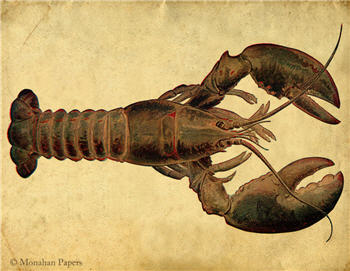 Lobster - SPS960