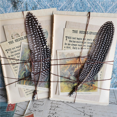 Egg Plate Stationery