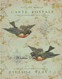 Carte Postale Red Breast Birds - X104