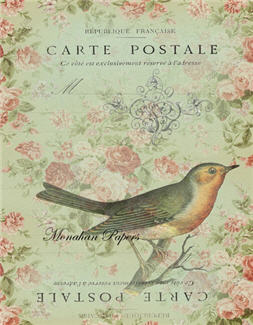 Carte Postale Single Bird - X107