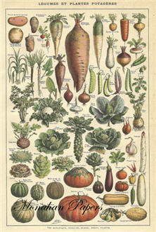Legumes Et Plantes Potageres - X228